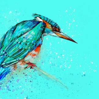 Image of Kingfisher by Stuart Roy